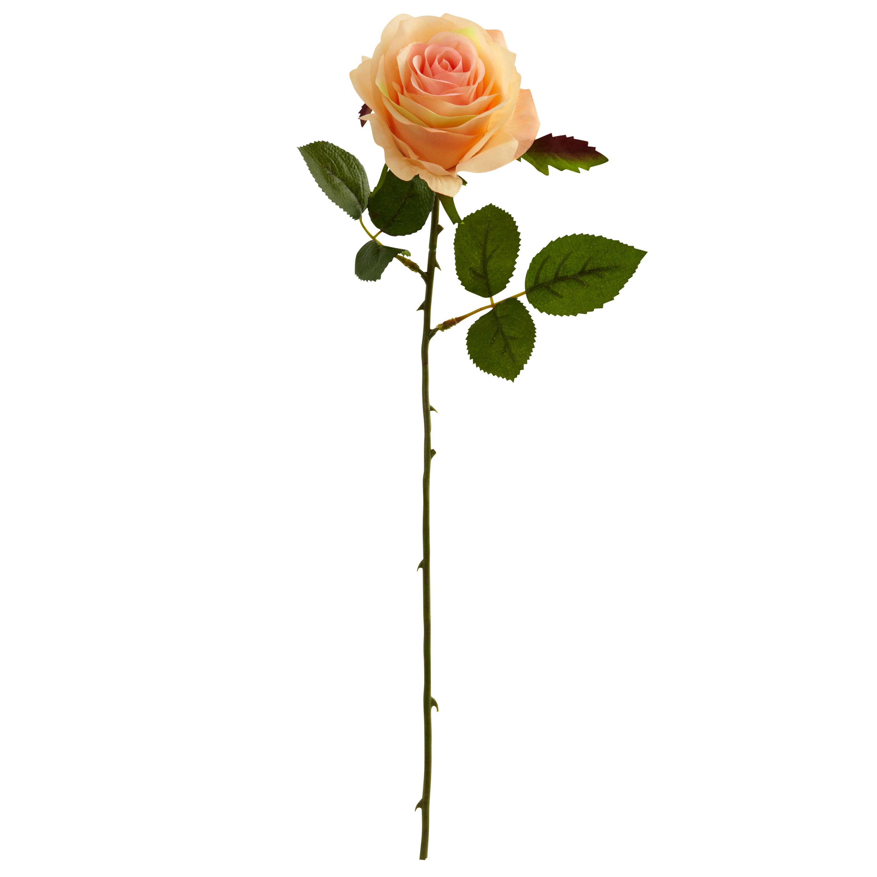 Nearly Natural 18-in Rose Artificial Flower (Set of 24) | 2179-S24-PH | Lowe's