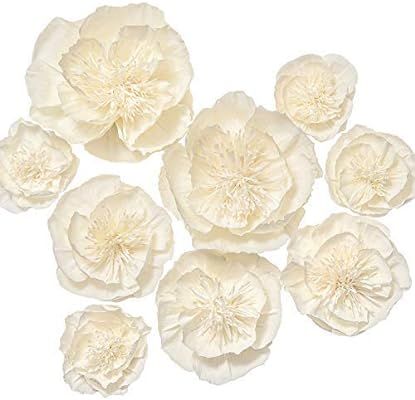 Ling's moment Paper Flower Decorations Set of 9(8''-4'' Assorted), Handcrafted Artificial Crepe P... | Amazon (US)