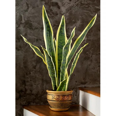 Artificial Snake Plant – Faux Sansevieria Potted Plant With Realistic Leaves, Low-Maintenance Indoor Décor For Home, Office, Or Apartment, 5" Diamete | Wayfair North America