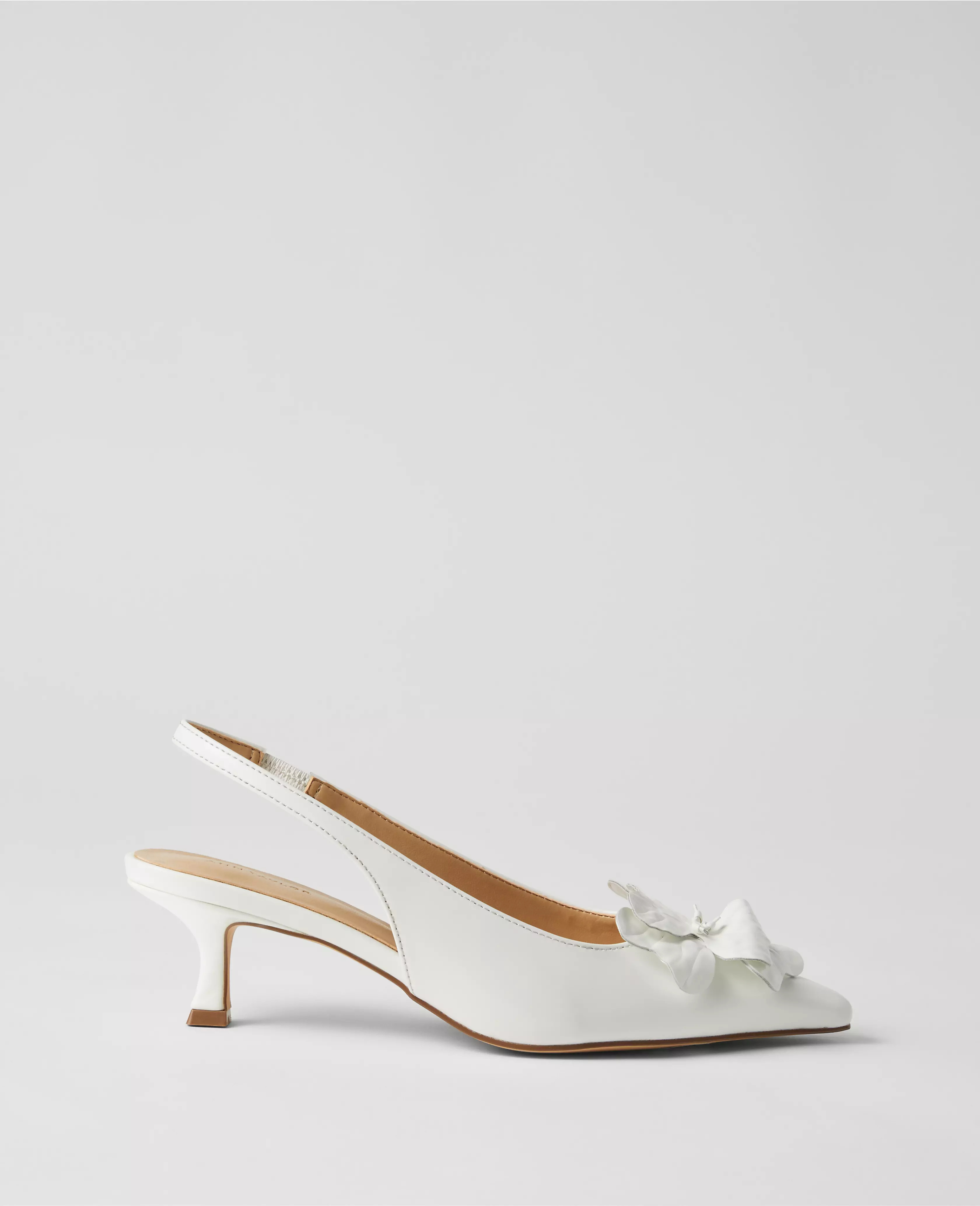 Ann Taylor | Ann Taylor