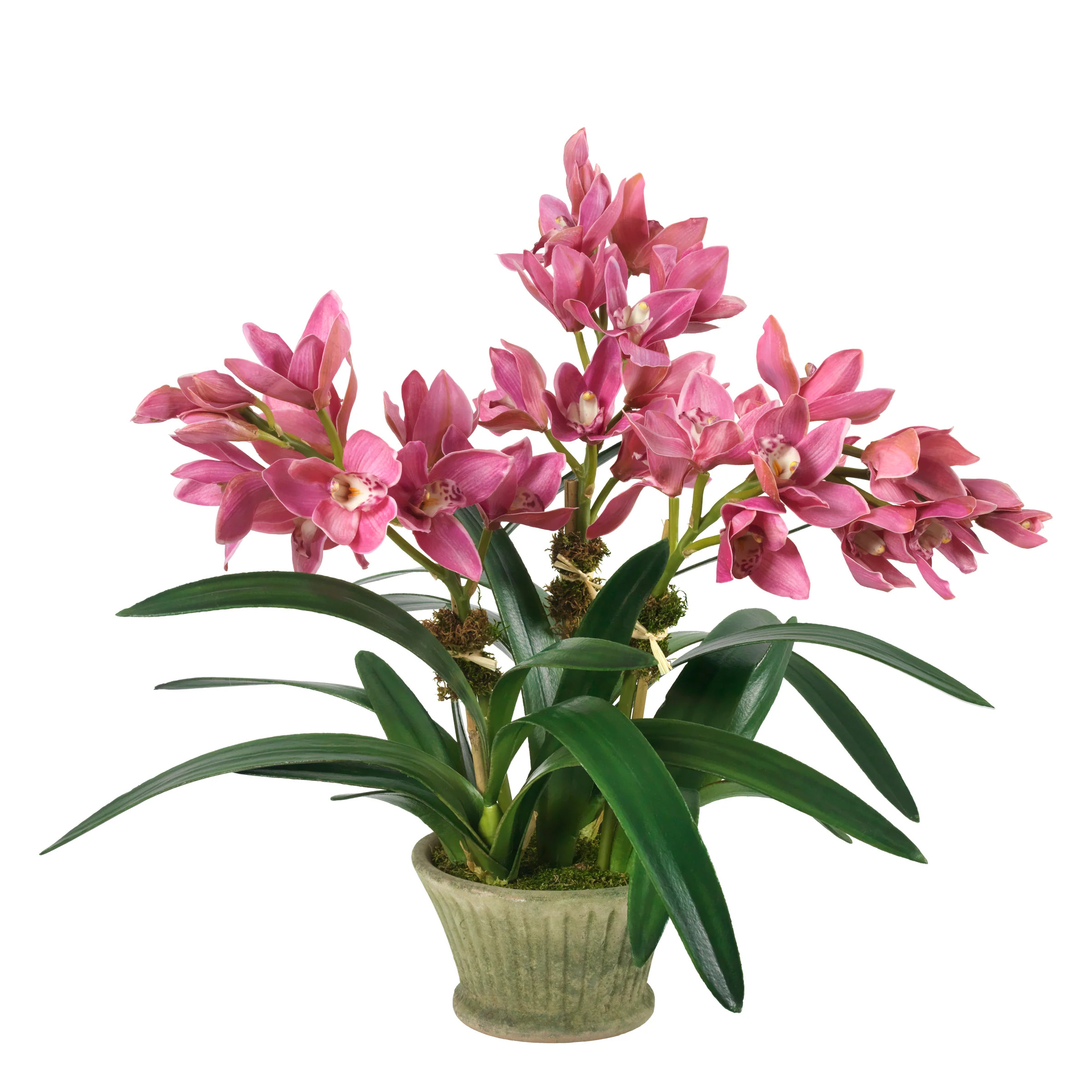 Pretty in Pink | Diane James Home