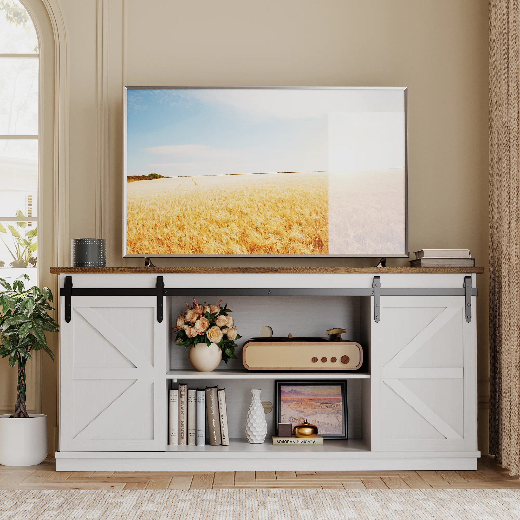 Hartin TV Stand with Sliding Barn Doors for TVs up to 65" | Wayfair North America