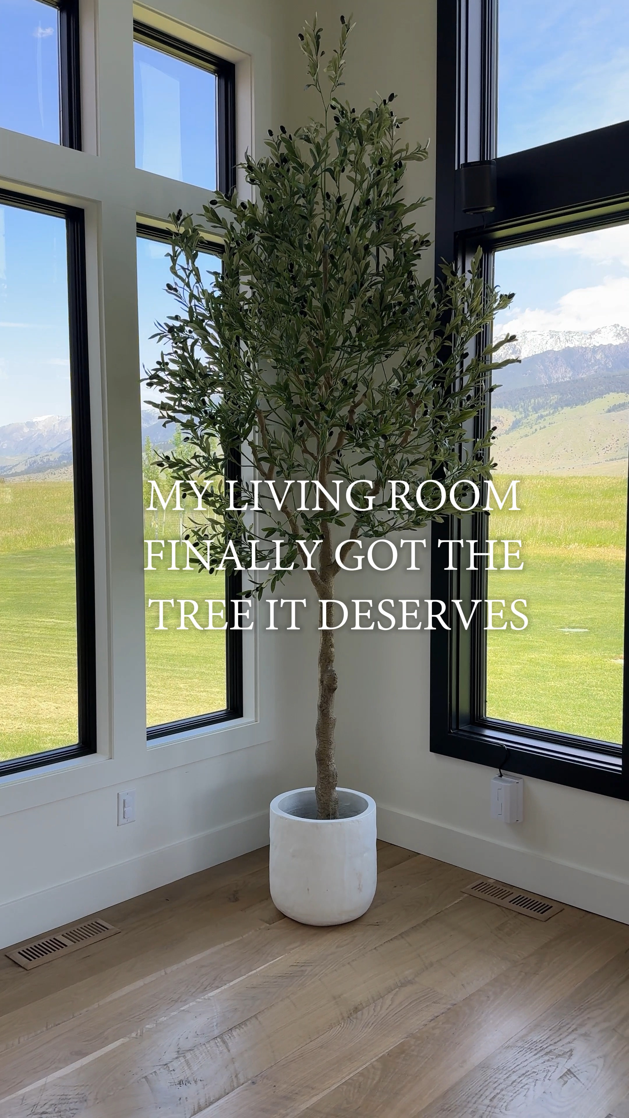 We got this new faux olive tree and it’s 10 feet!! Such a stunning tree in person.

Interior decor, home design, home decor, interior trees, indoor trees, faux olive tree, tall olive trees, huge indoor trees, best indoor trees

#LTKHome #LTKVideo