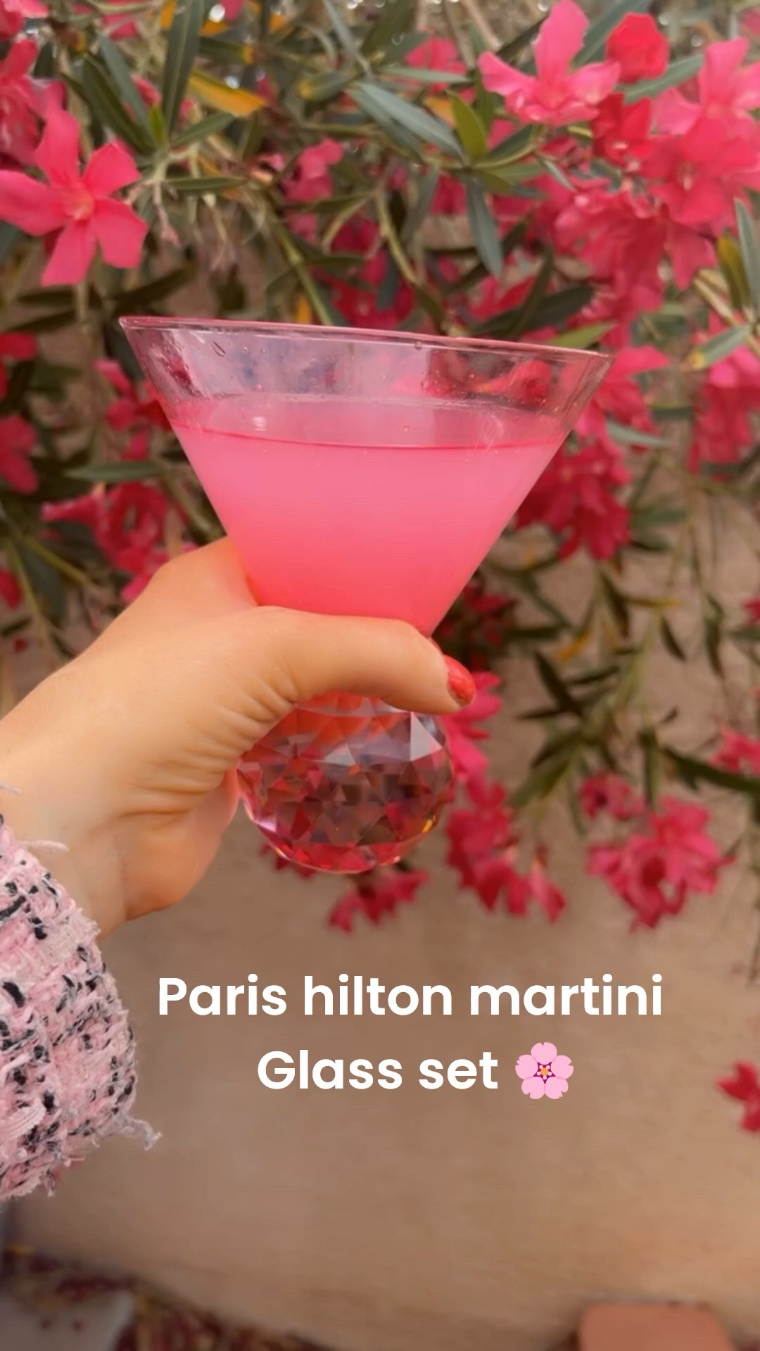 Paris Hilton martini glass set 💗

#LTKMothersDay #LTKHome #LTKmomlife