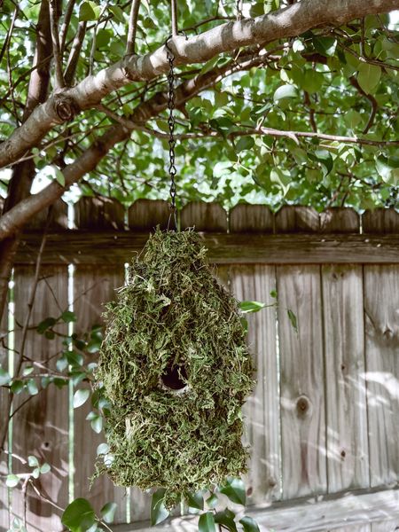 Cozy cottage DIY: moss covered birdhouse ☀️

#LTKSeasonal #LTKhome #LTKFind