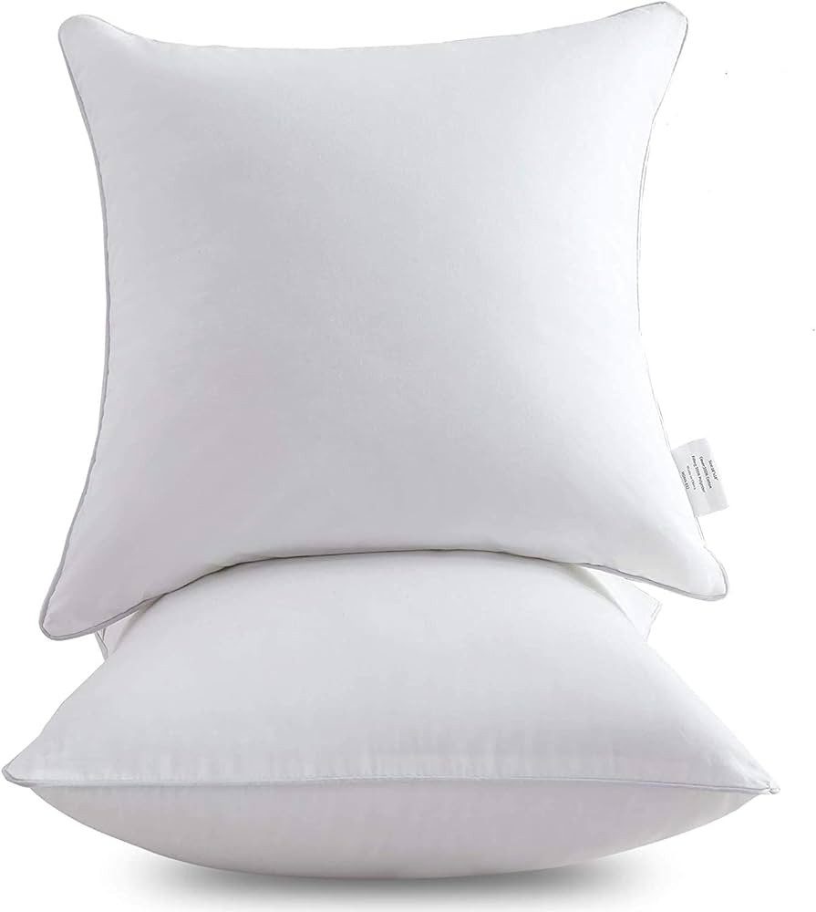 Oubonun 26 x 26 Pillow Inserts (Set of 2) - Throw Pillow Inserts with 100% Cotton Cover - 26 Inch... | Amazon (US)