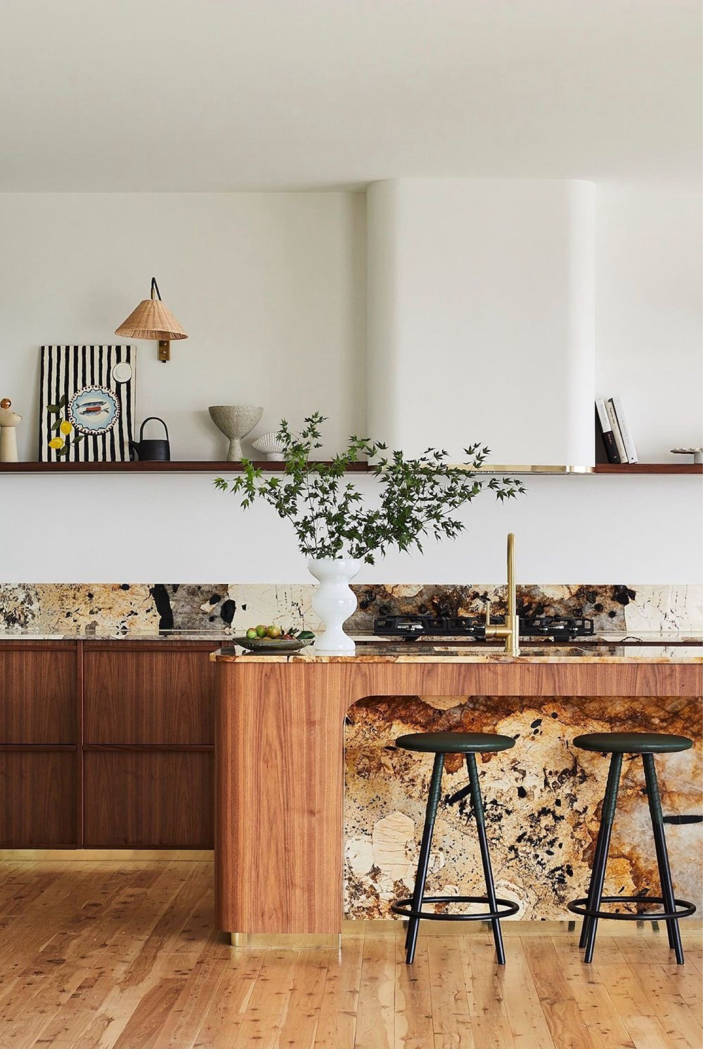 Elegant Modern Kitchen 