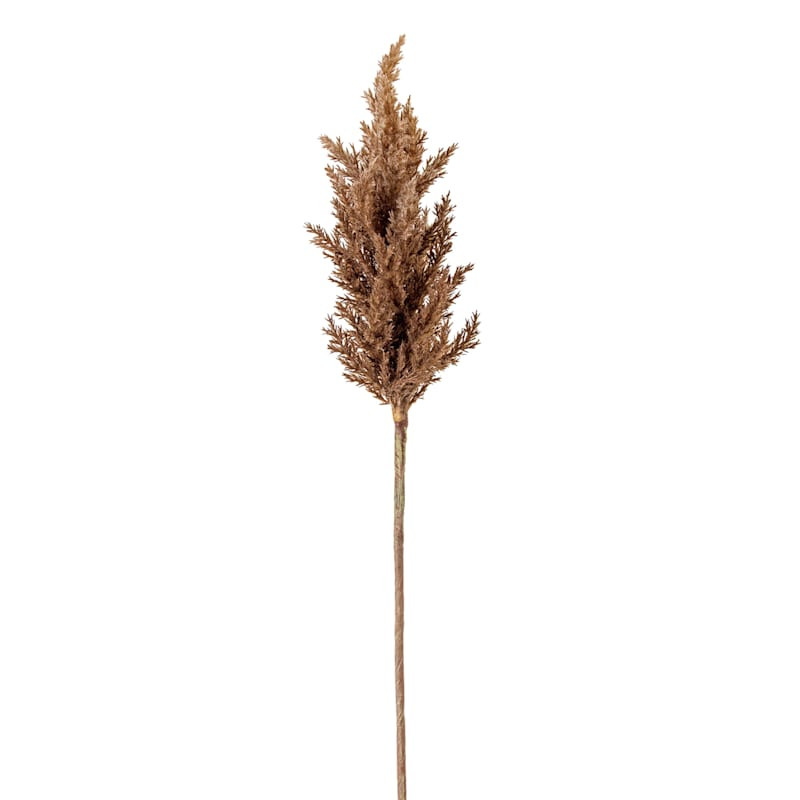 Brown Astilbe Stem, 36" | At Home