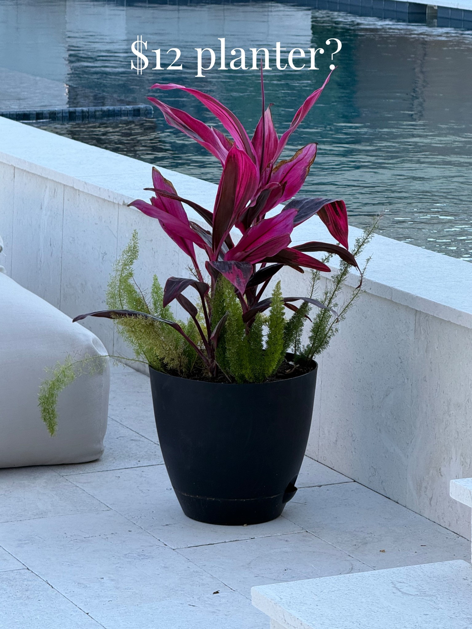 Plastic planter with drainage saucer built in. Hasn’t faded at all! Light enough to carry inside during a frost. 

#LTKSeasonal #LTKHome #LTKSaleAlert