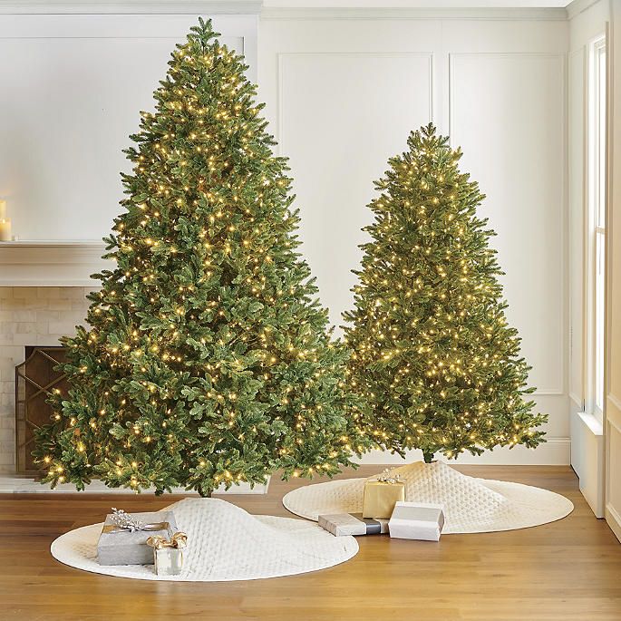 Noble Fir Full Profile Tree | Frontgate | Frontgate