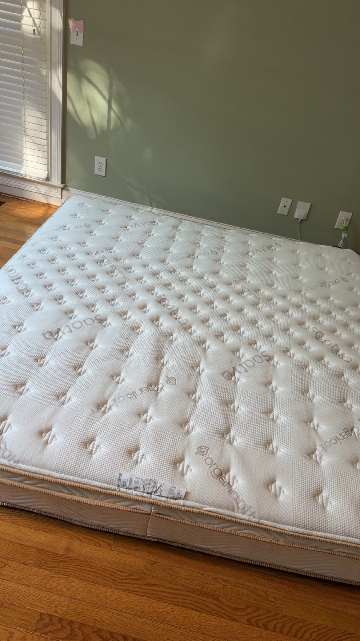 New mattress

#LTKmorningroutine #LTKgrwm #LTKBeauty