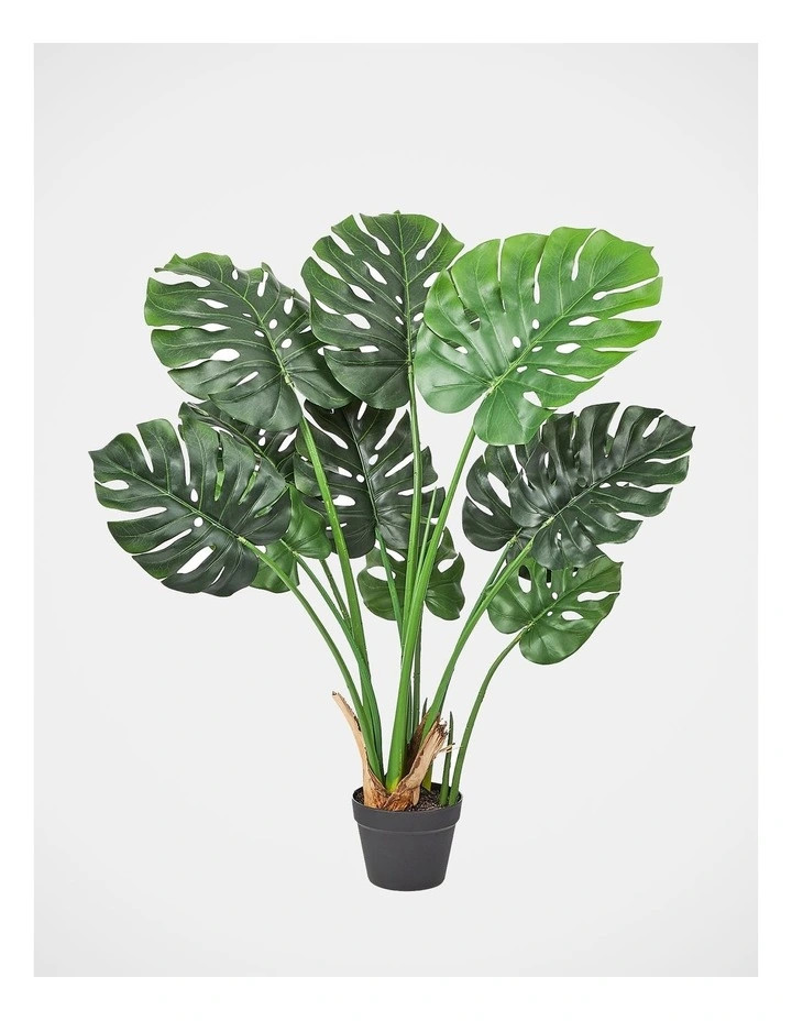 Cooper & CoArtificial Monstera 120cm in Green | Myer