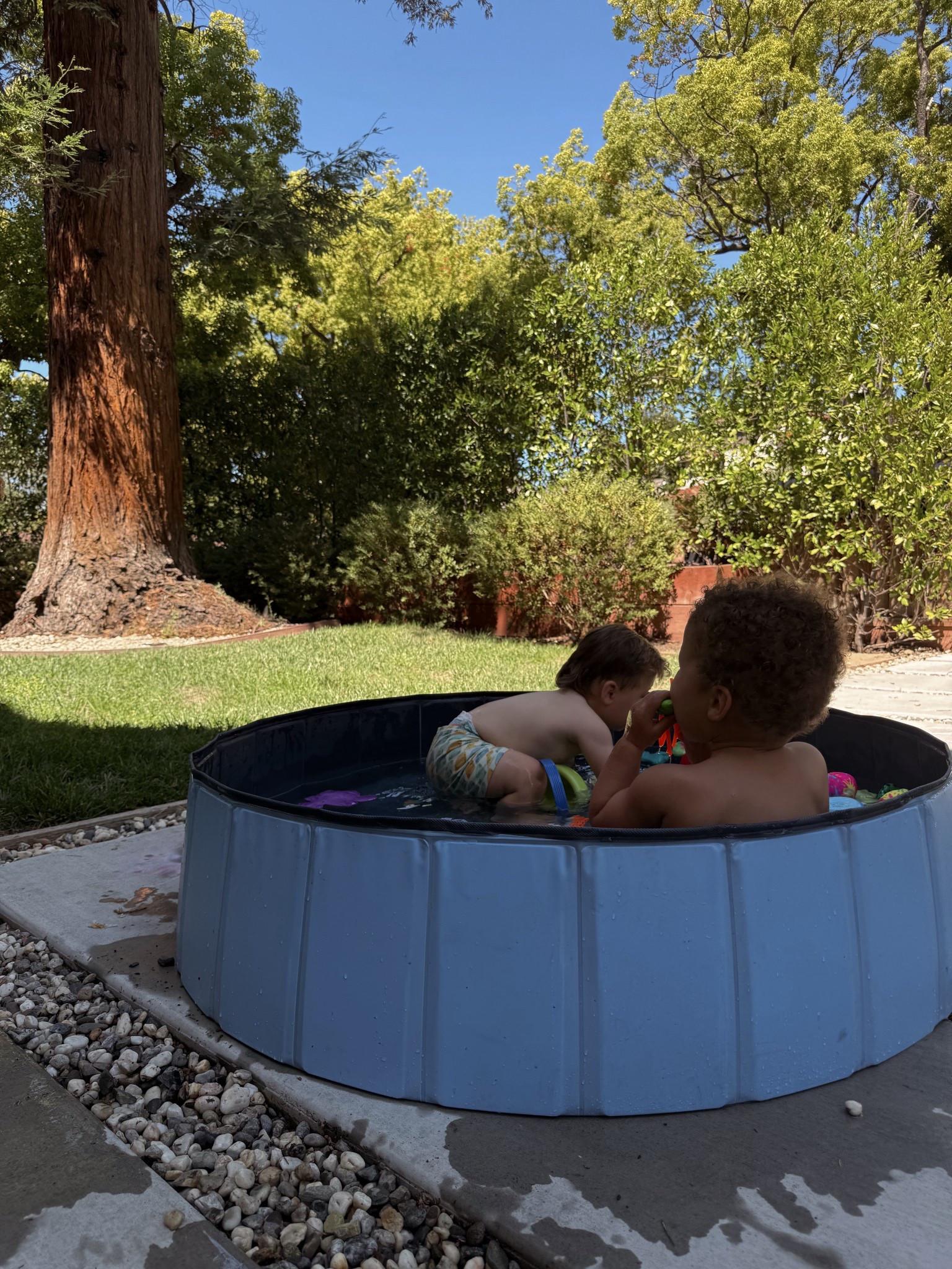 The kids loved this pool! We got a size XL

#LTKFindsUnder100 #LTKSwim #LTKBaby