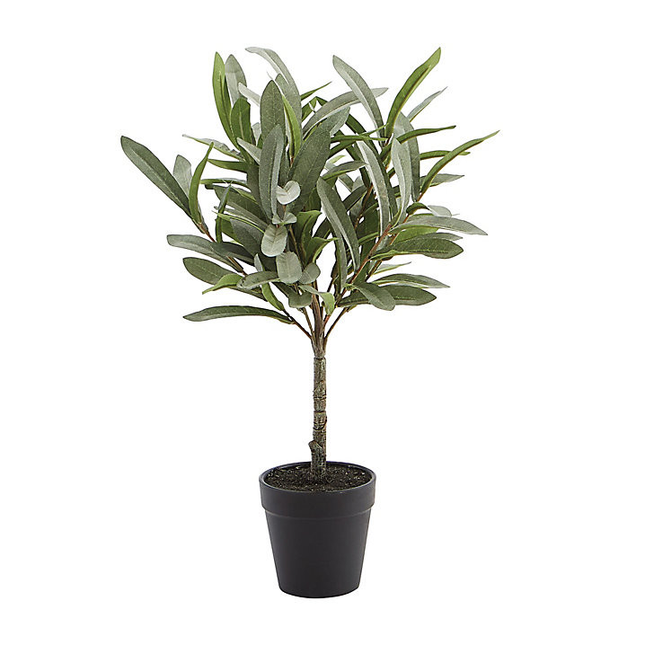 Olive Topiary with Lush Faux Leaves & Natural Texture in Black Pot | Ballard Designs, Inc.