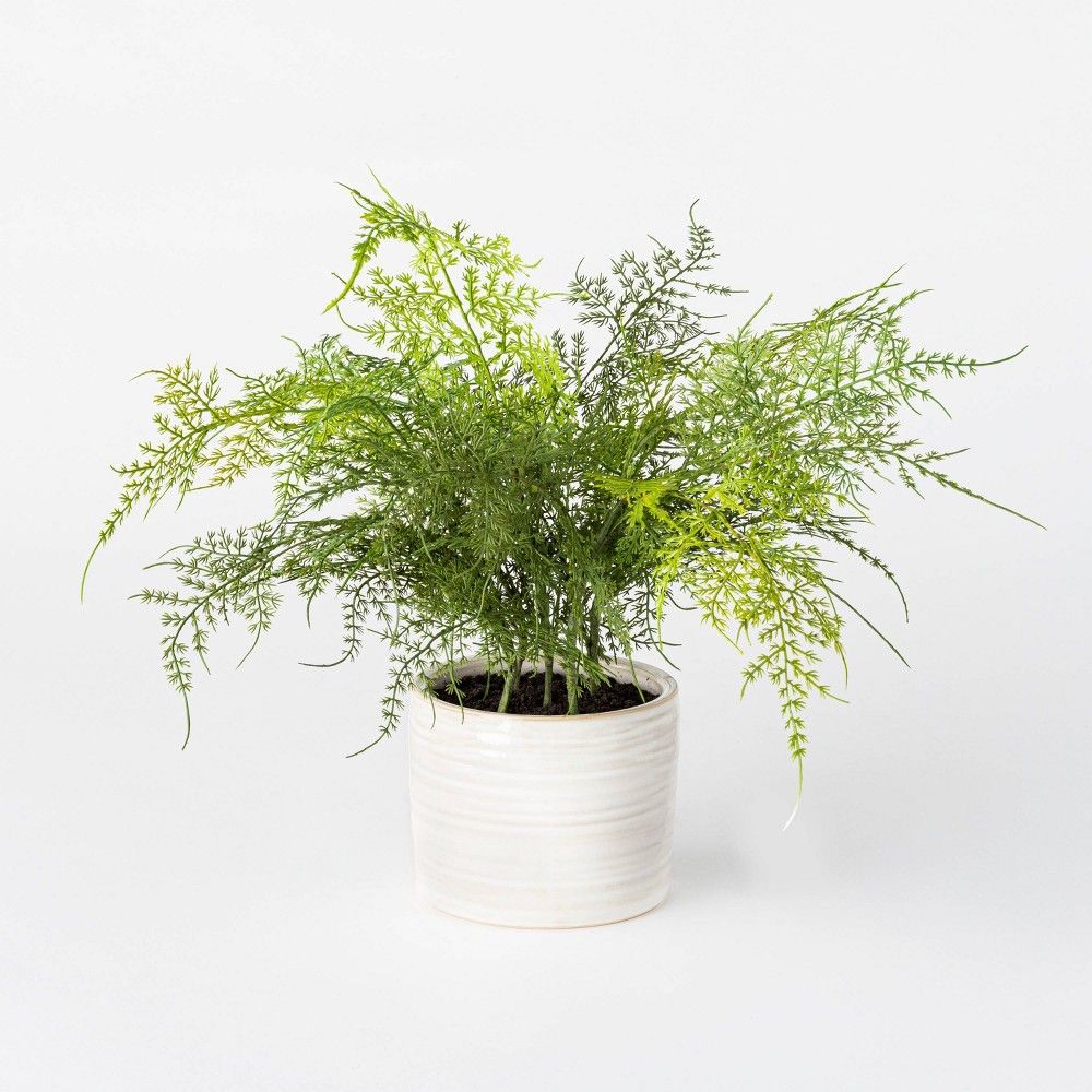 12"" x 10"" Artificial Fern Plant in Pot White - Threshold designed with Studio McGee | Target