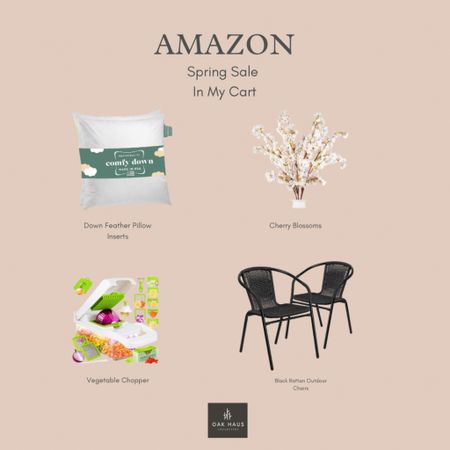 Amazon Spring Sale in my cart! 

Amazon pillows, pillow inserts, down feather inserts, outdoor chairs, rattan outdoor chairs, stackable chairs, vegetable chopper, cherry blossom faux florals, spring florals, spring stems, cherry blossom stems, Amazon florals 

#LTKfamily #LTKhome #LTKSeasonal