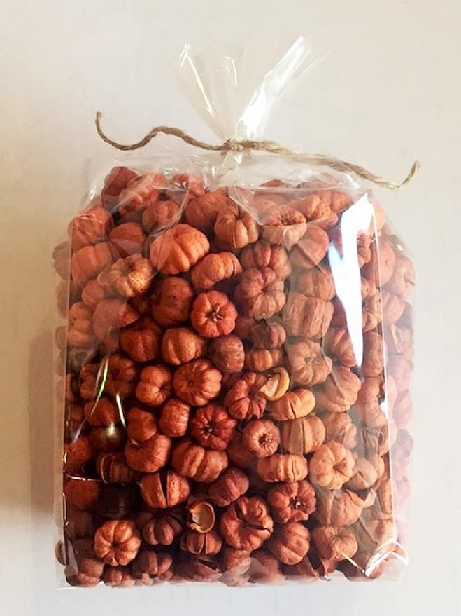 MerdCraft Putka Pods Mini Pumpkins Fall Decorative Bowl Fillers - Natural Dried Putka Pods Large ... | Amazon (US)