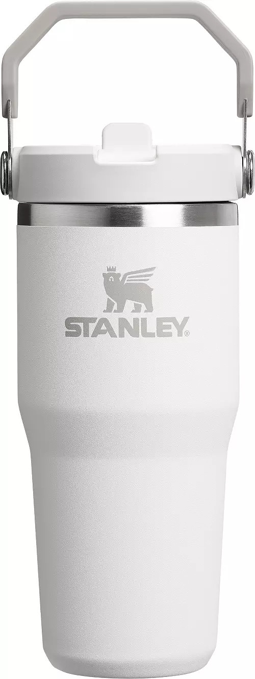 Stanley 14 oz. IceFlow 2.0 Flip Straw Tumbler | DICK'S Sporting Goods