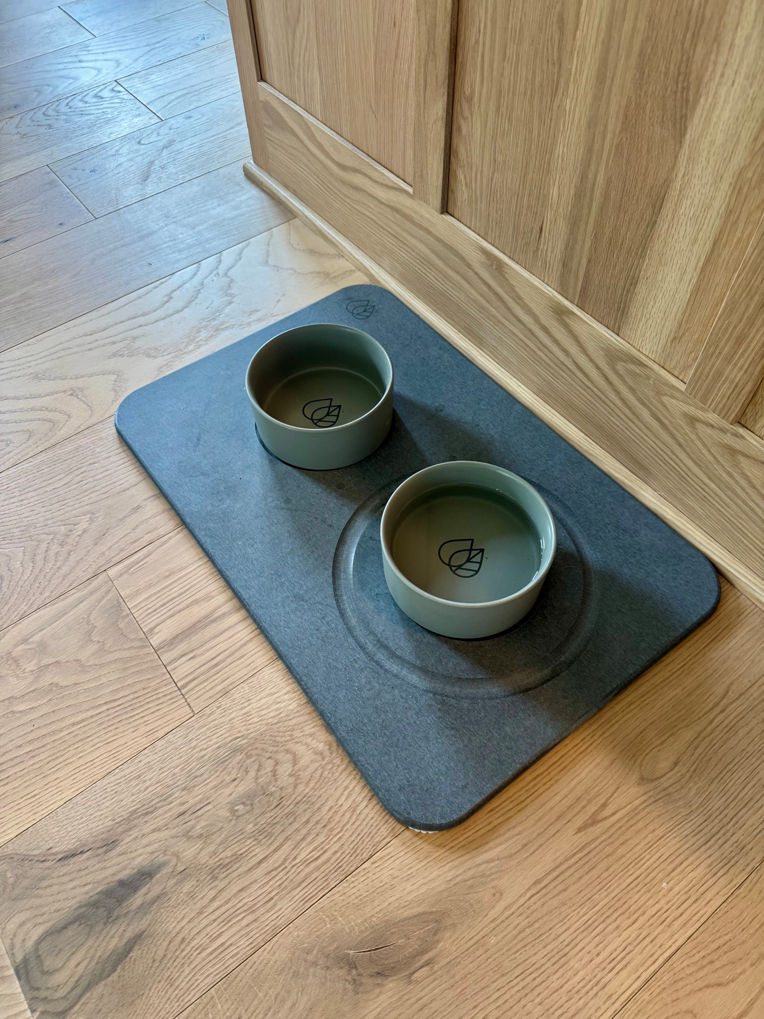 Blue is loving his new self-drying dog bowl set - perfect for sloppy sippers! 🐶

#LTKFindsUnder100 #LTKPets #LTKHome