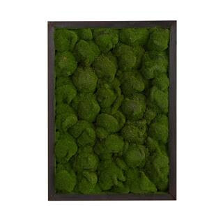 24" Artificial Moss Hanging Frame By Nearly Natural | Michaels® | Michaels Stores