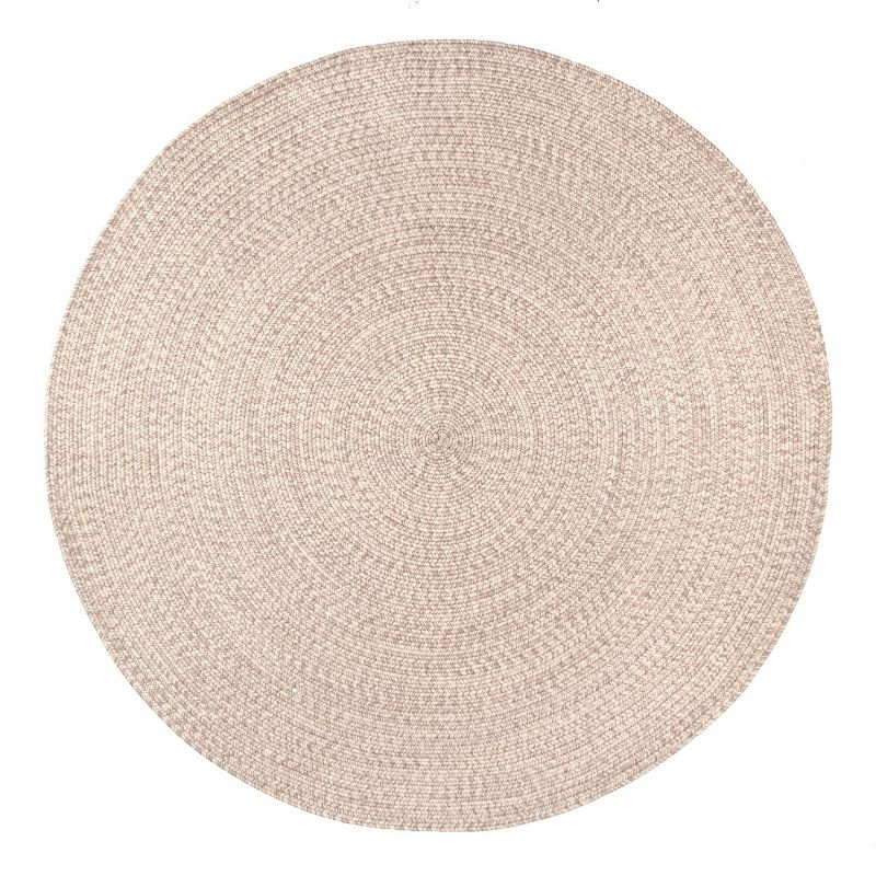 Wynn Braided Indoor/Outdoor Area Rug - nuLOOM | Target