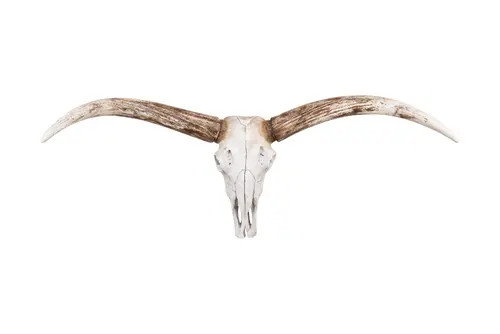Storied Home Resin Steer Skull Wall Décor in Cream at Nordstrom | Nordstrom