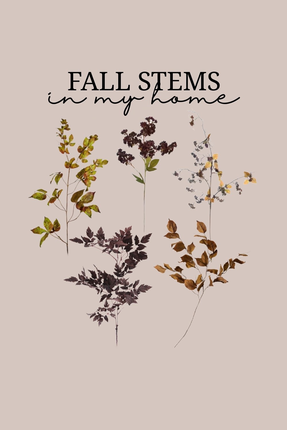 Sharing my fall stem round up for fall decorating 2026 🤎🍂 #fallstems #falldecor #falldecorating #neutralhome #homedecor #homeinspo #fall #autumn

#LTKSeasonal #LTKHome
