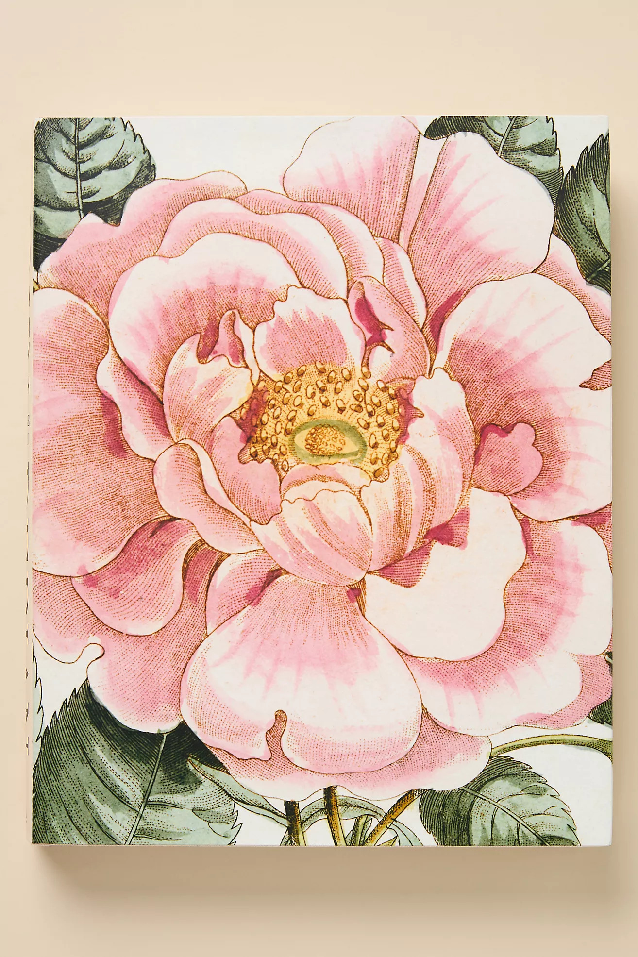 John Derian Picture Book II | Anthropologie (US)