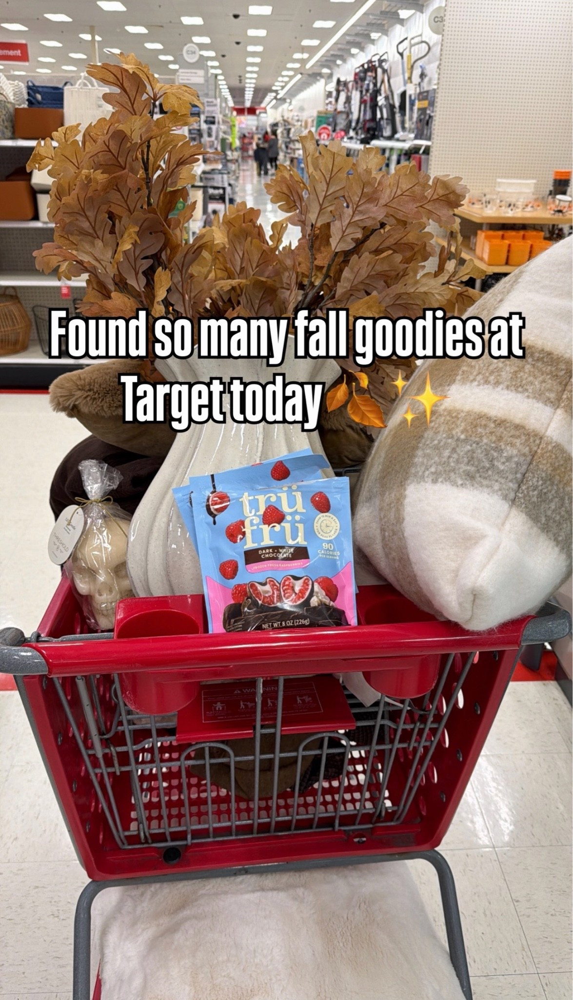 Found so many fall goodies today while I was at Target 🤩🤩 obsessed with these finds!✨