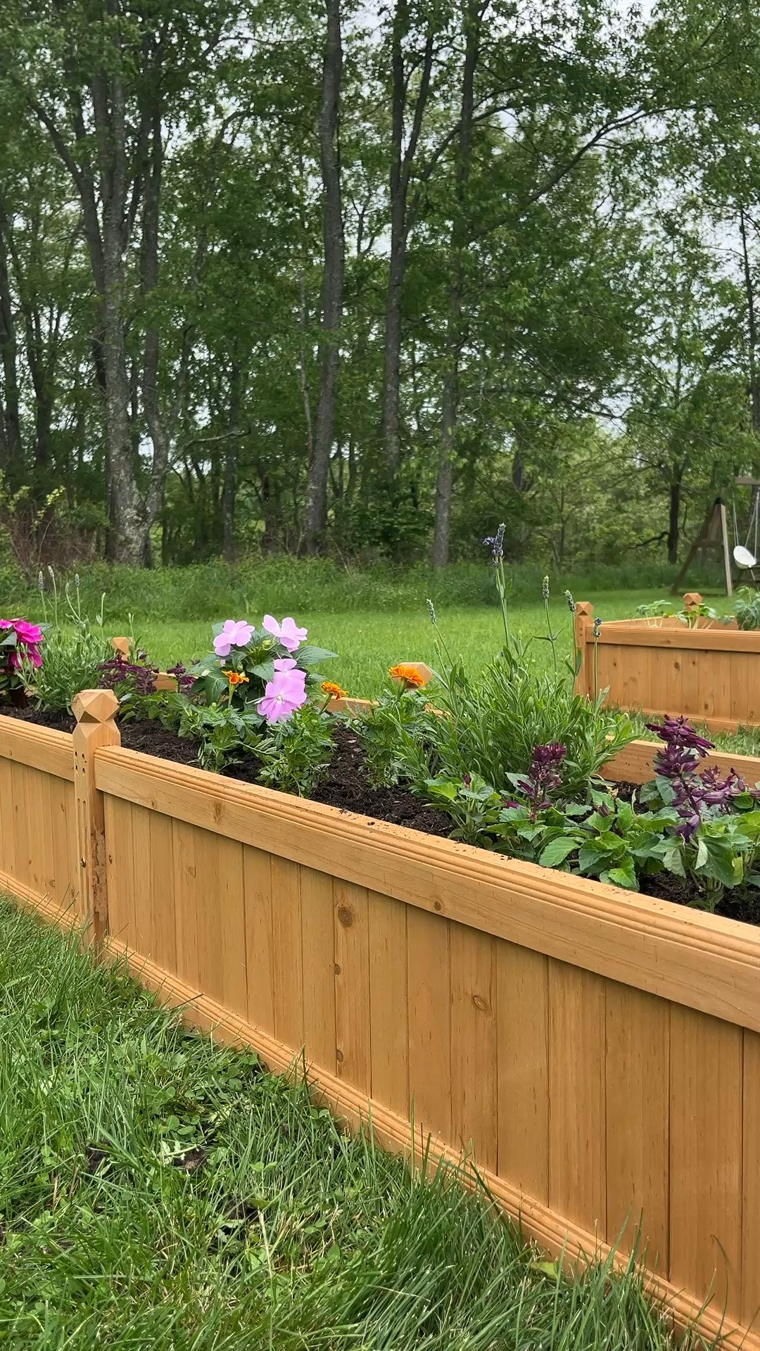 #ad love these wooden raised garden beds from @Wayfair 🪴 we have two of the 90.5” x 23.5” size

#wishyouwerehere #outdoor #wayfair#wayfairpartner