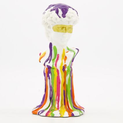 Multicolour Painting Davis Bust Ornament 24x11cm | TK Maxx