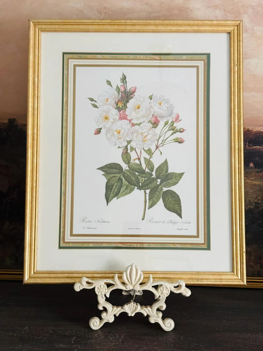 Framed Rosa Noisettiana Lithograph | Floral Painting | Floral Home Decor | Botanical Art Prints |... | Etsy (US)