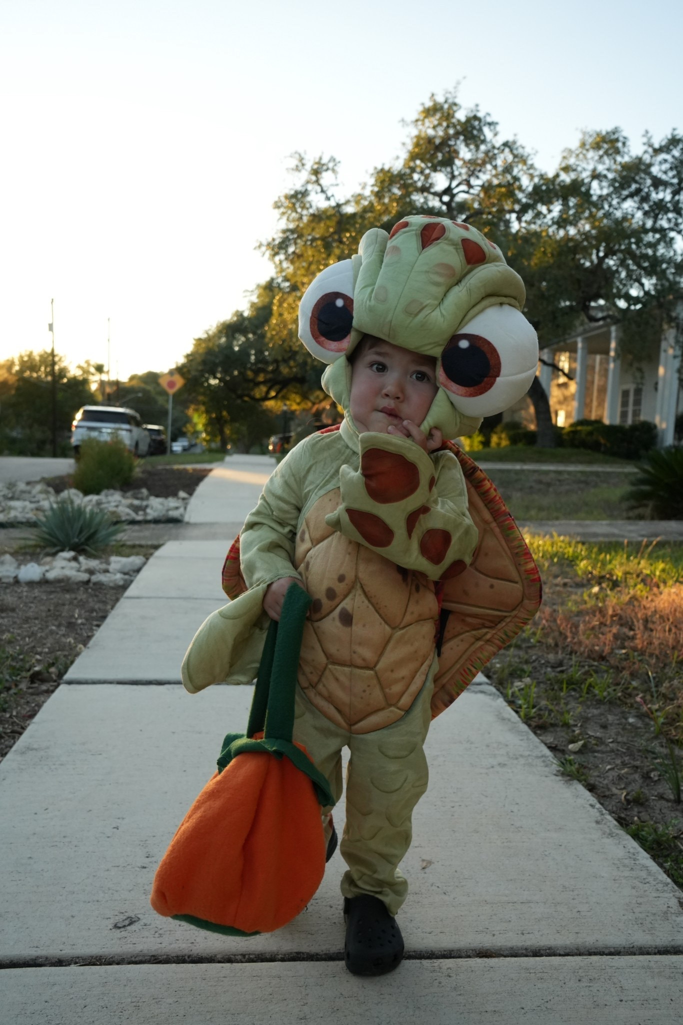 Halloween costume, turtle costume, toddler Halloween costume, baby costumes, toddler costumes 

#LTKFamily #LTKBaby #LTKKids