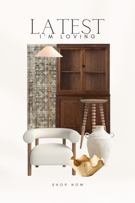 Latest finds for the home I’m loving!

Display cabinet, upright cabinet, dark wood cabinet, area rug, brass floor lamp, end table, accent table, side table, armchair, accent chair, jug vase, neutral vase, ruffled bowl, centerpiece bowl, decorative bowl, moody decor

#LTKstyletip #LTKFind #LTKhome