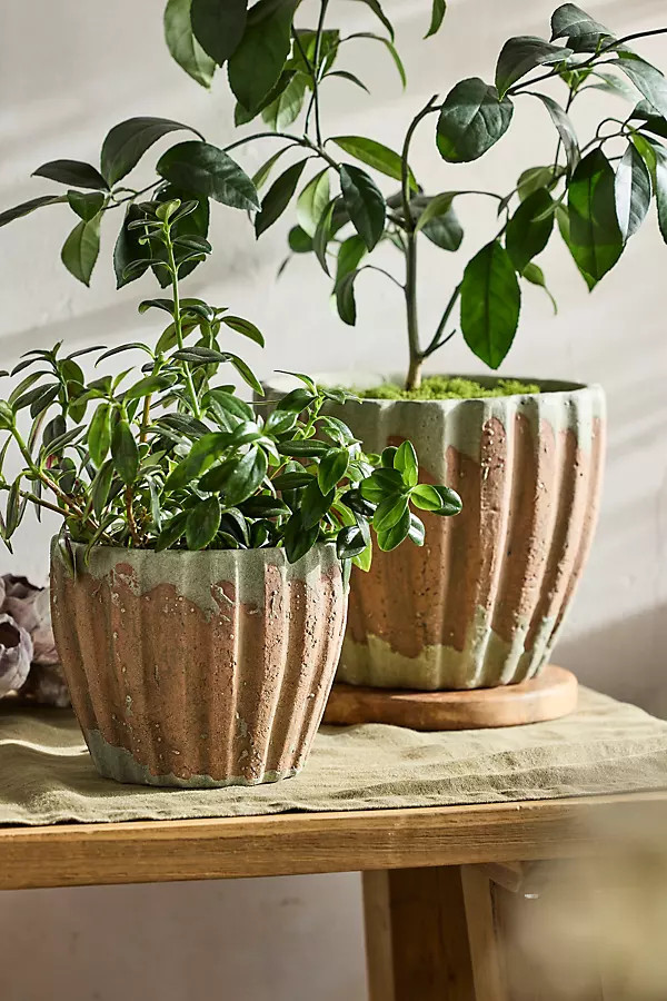 Ribbed Terracotta Taper Pot | Anthropologie (US)