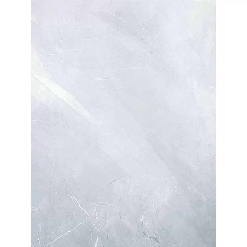 Thundra 24" x 48" Porcelain Matte Field Tile | Wayfair North America