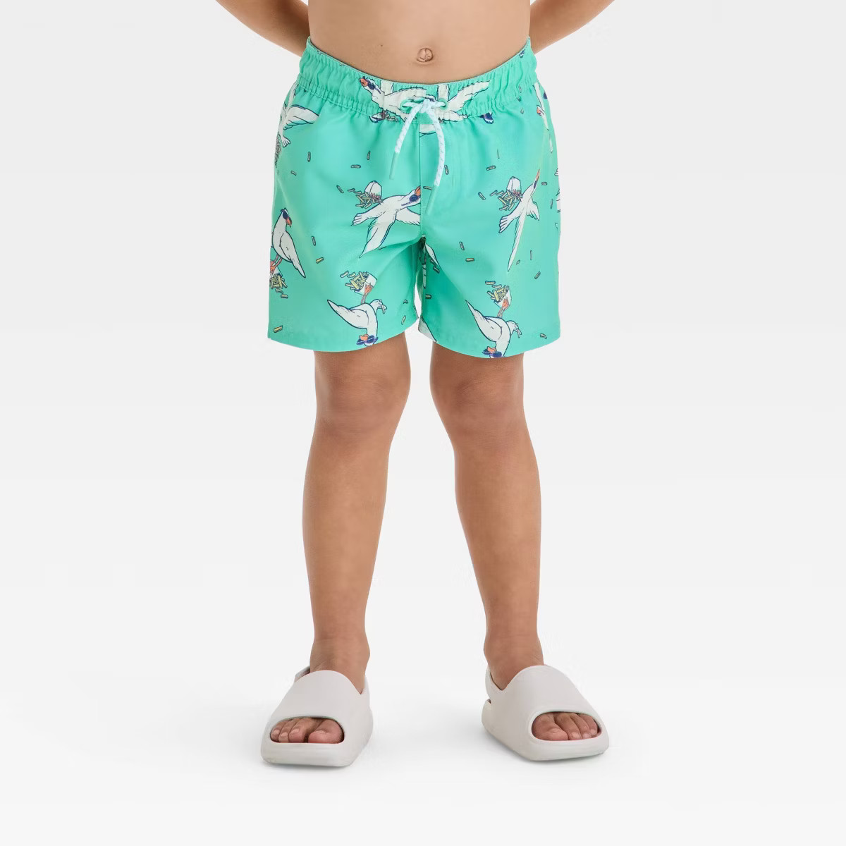 Toddler Boys' Sea Gull Printed Swim Shorts - Cat & Jack™ Aqua Green | Target