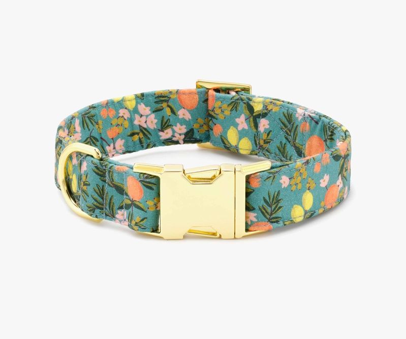 Citrus Floral Teal Dog Collar | Rifle Paper Co.