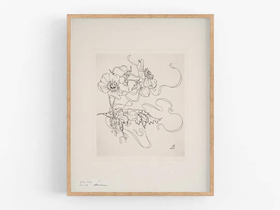 French Porcelain Flower Daisy Sketch / Botanical Art / Art - Etsy | Etsy (US)