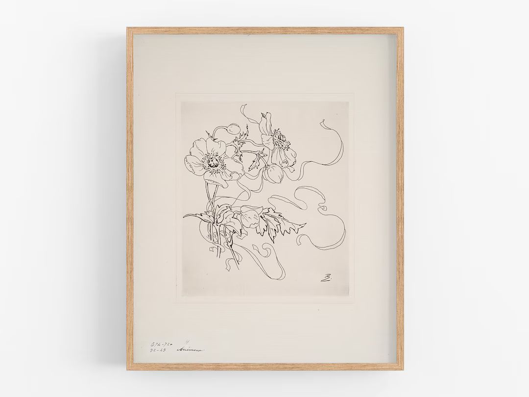French Porcelain Flower Daisy Sketch / Botanical Art / Art - Etsy | Etsy (US)