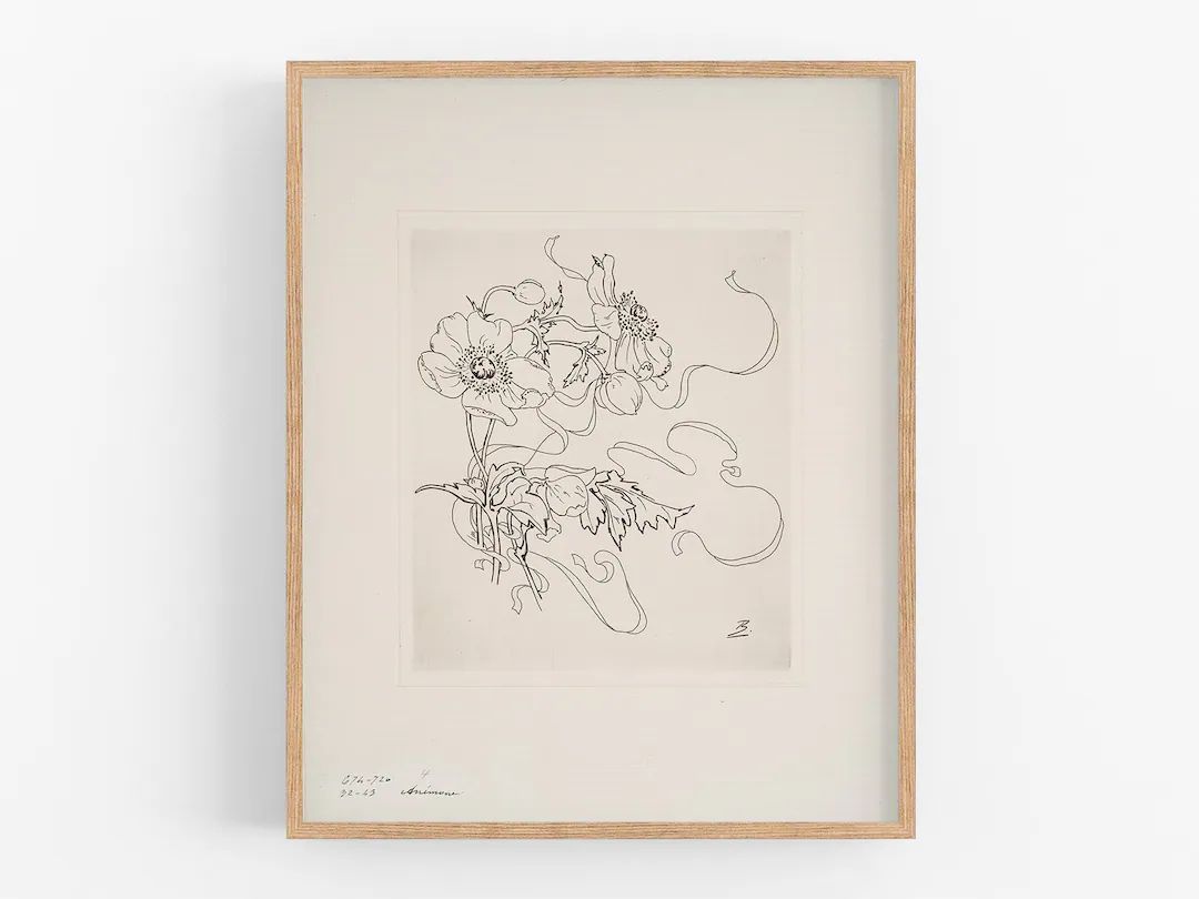 French Porcelain Flower Daisy Sketch / Botanical Art / Art - Etsy | Etsy (US)