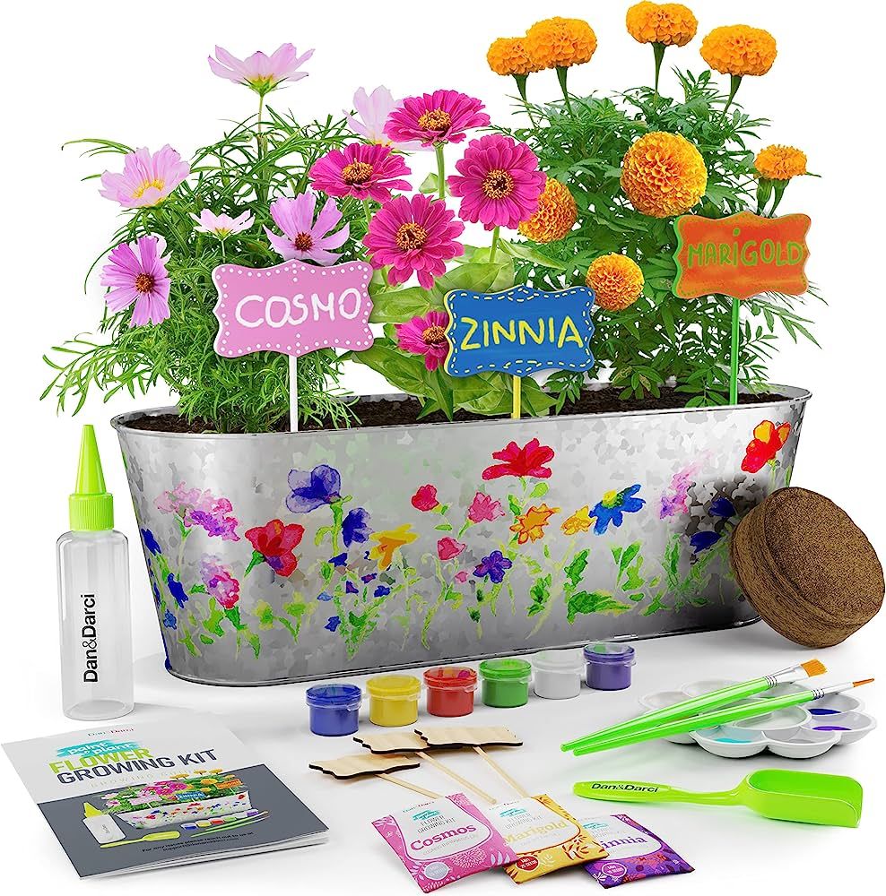 Paint & Plant Flower Craft Kit for Kids - Best Birthday Science Crafts Gifts for Girls & Boys Age... | Amazon (US)