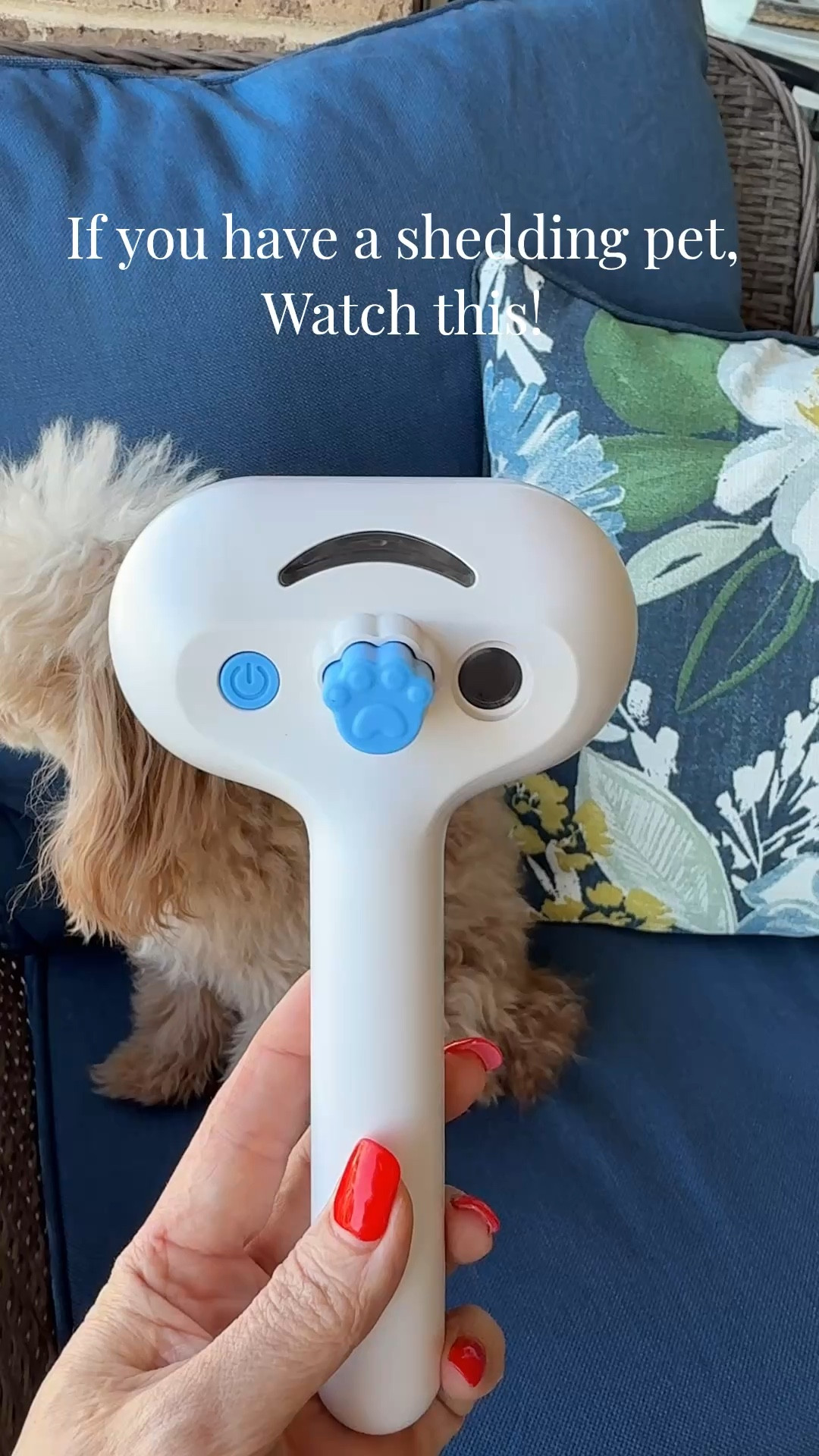 Pet owners this one is so good for quick everyday grooming. The steam brush helps loosen fur while brushing and makes it easier to keep up with shedding without turning it into a whole ordeal. Such a handy pet find.

#petfinds #petmusthaves #dogmomfinds #catmomfinds #amazonfinds #petgrooming #doggrooming #catgrooming #petcare #homefinds