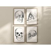 Set Of 4 Realistic Human Skull Prints | Art Dark Academia Halloween Decor Seasonal Wall Anatomy Digi | Etsy (US)