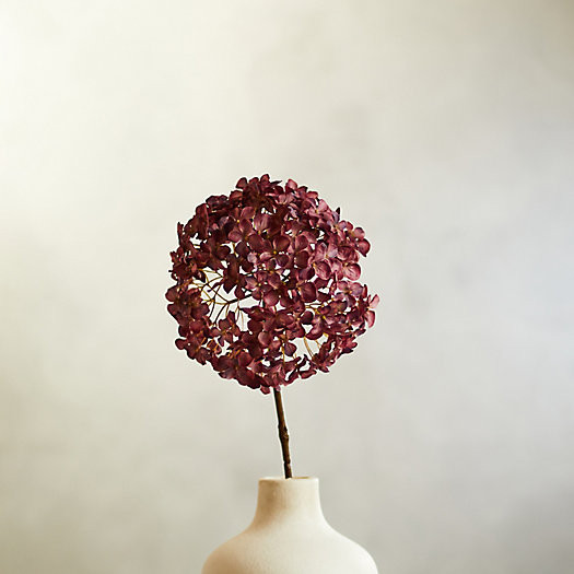 Faux Hydrangea Stem | Terrain