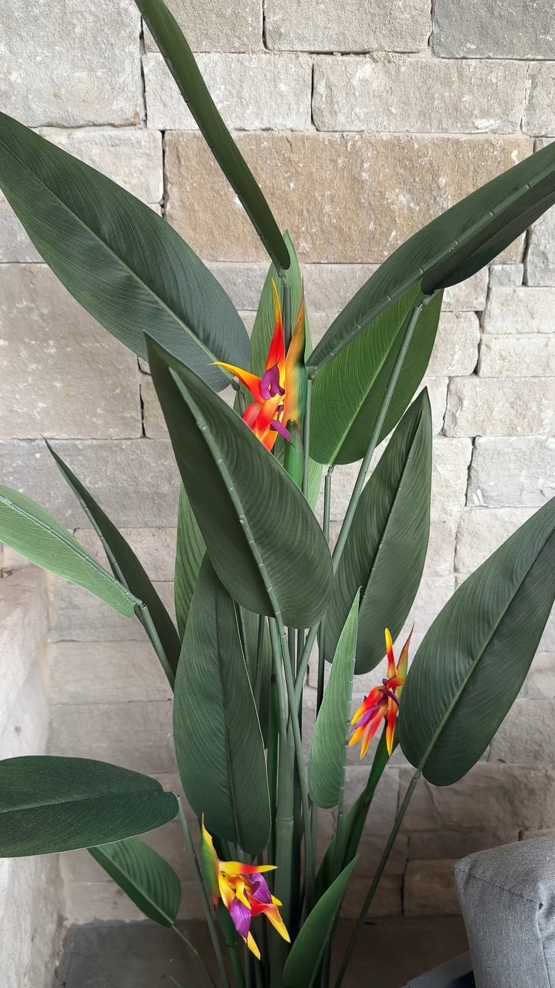 #plants #artificialplants #amazonhome

#LTKSeasonal #LTKHome #LTKSummerEdit