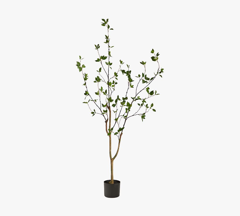 Faux Potted Citrus Tree | Pottery Barn (US)