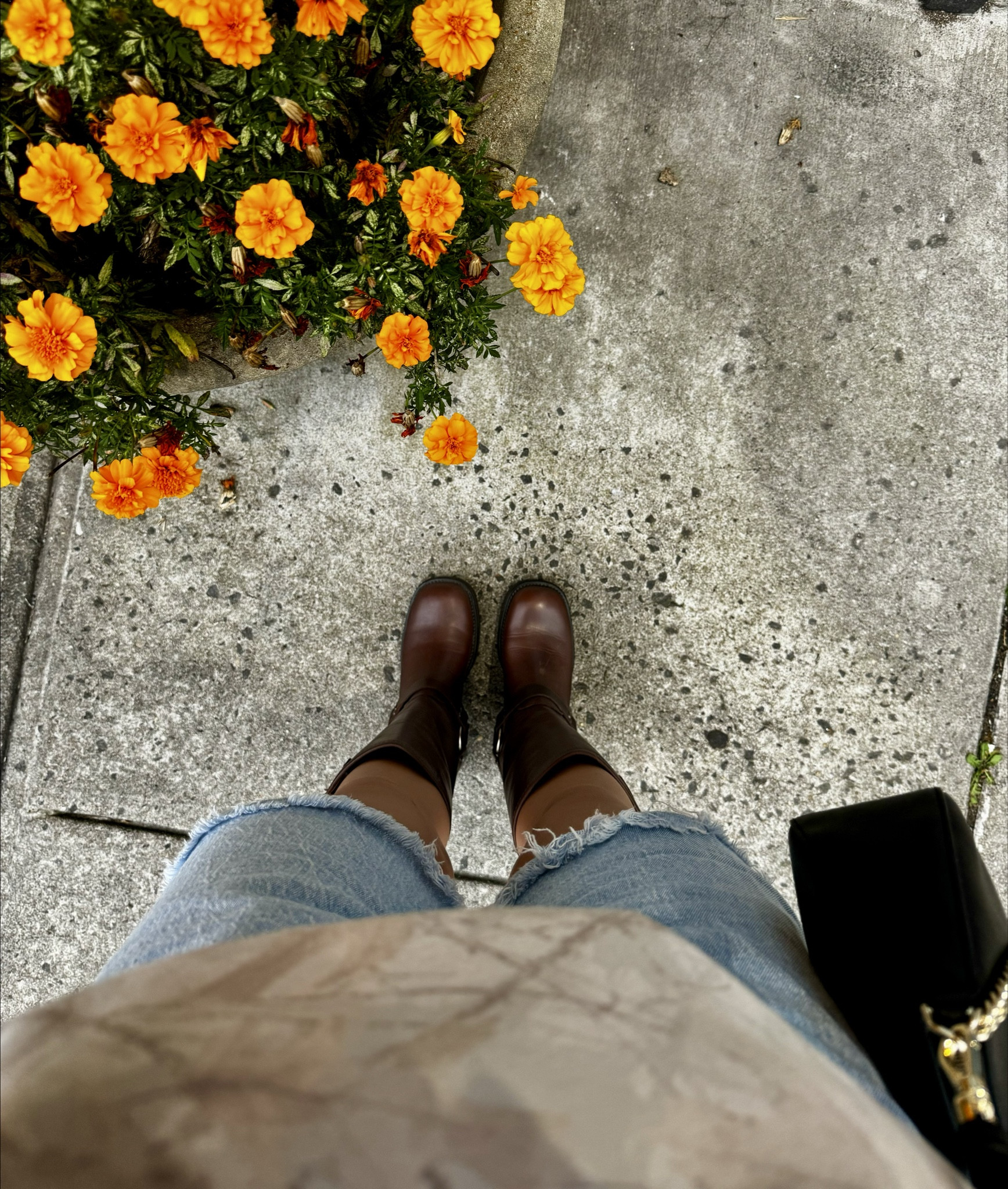Cloudy day in August 🌤️

#LTKStyleTip #LTKFallSale #LTKBacktoSchool