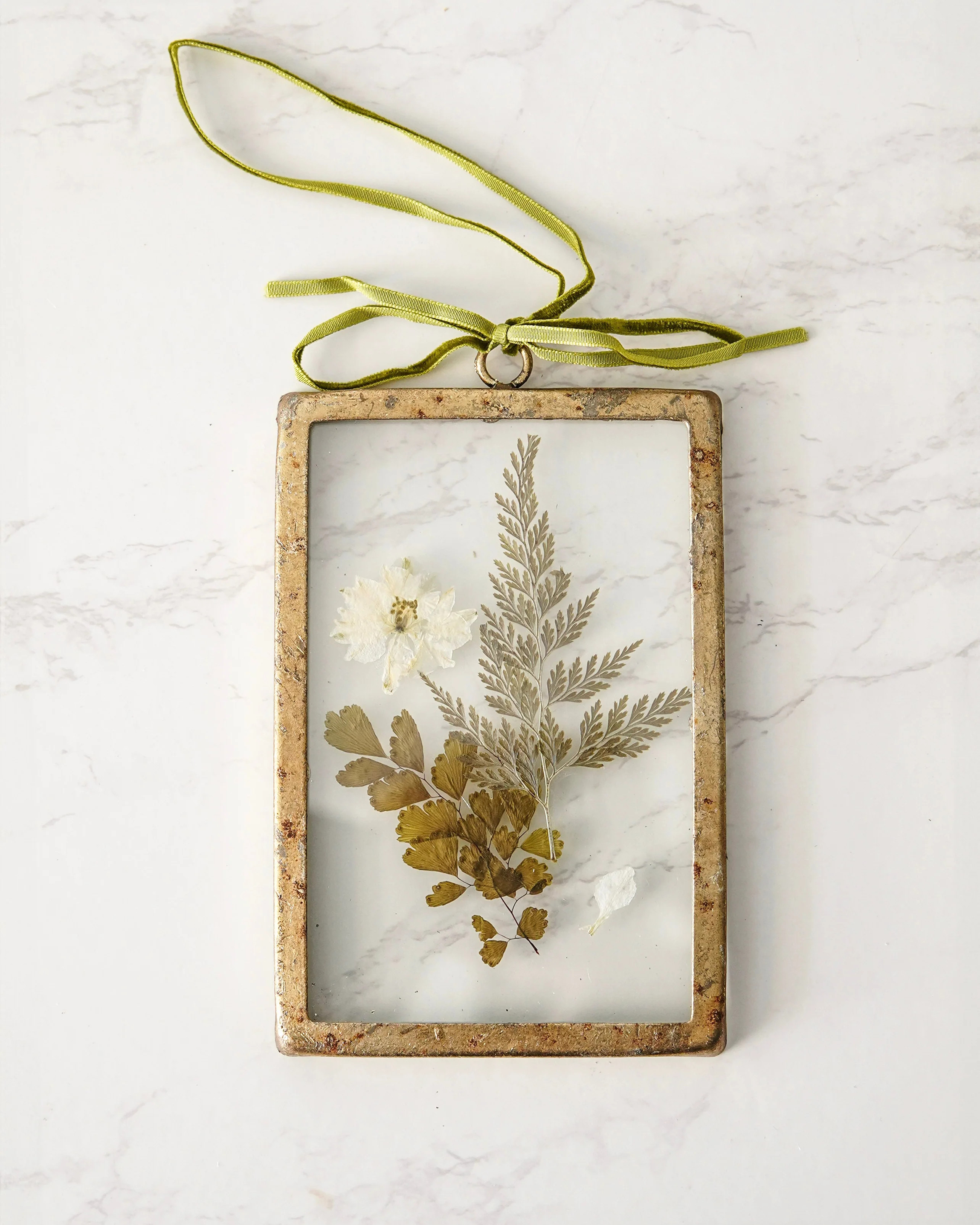 Pressed Botanical Glass Frame | MJHome