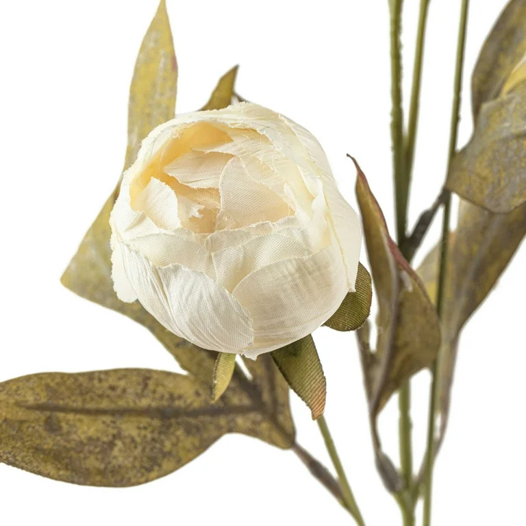 16 Pack: Cream Peony Stem by Ashland® | Walmart (US)
